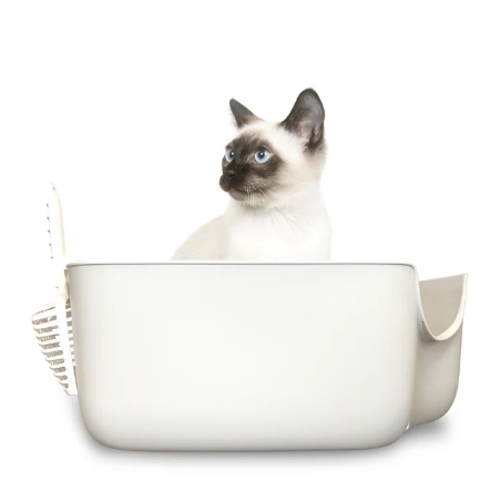Litter Box